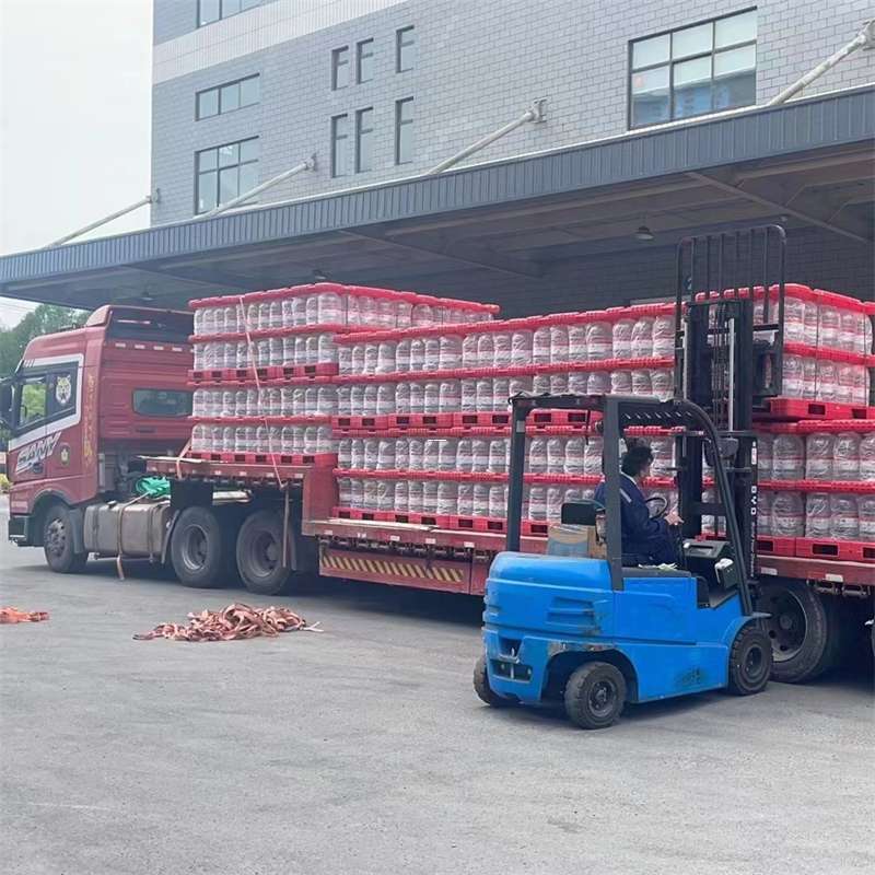 普陀区延平区物流：多元运输服务的魅力探索