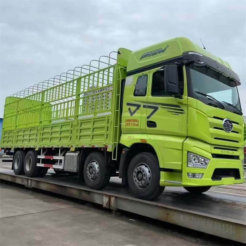普陀区叶城县特色物流：进仓与大件运输的奇妙之旅