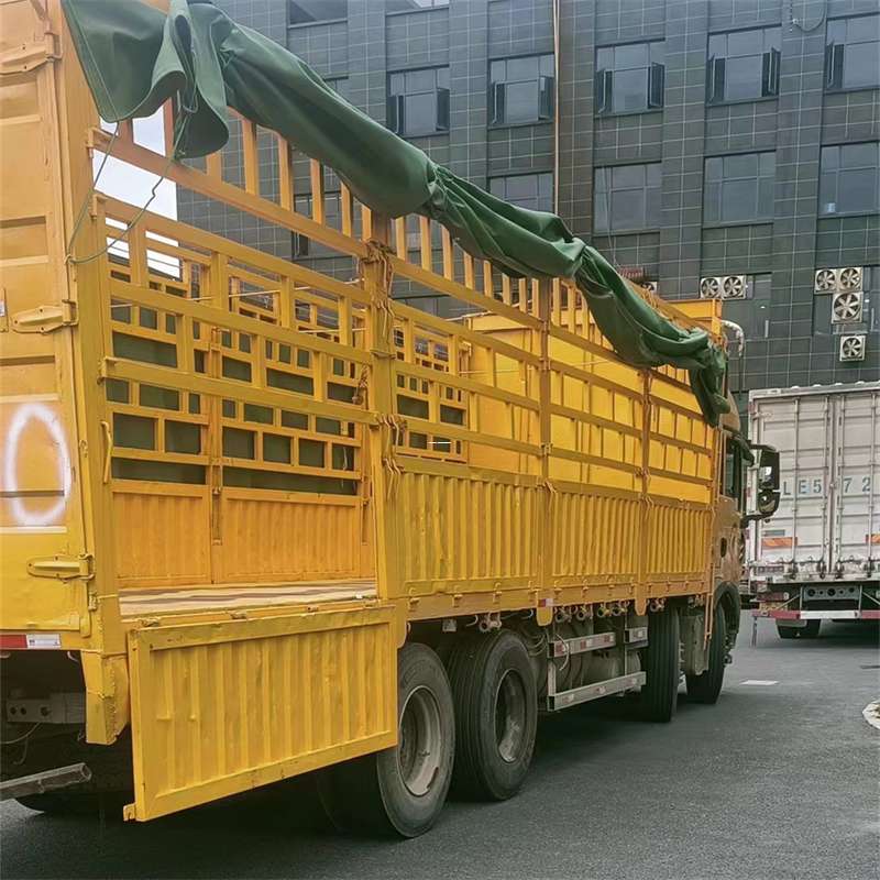 普陀区兰州市物流运输：多元服务与高效线路探秘
